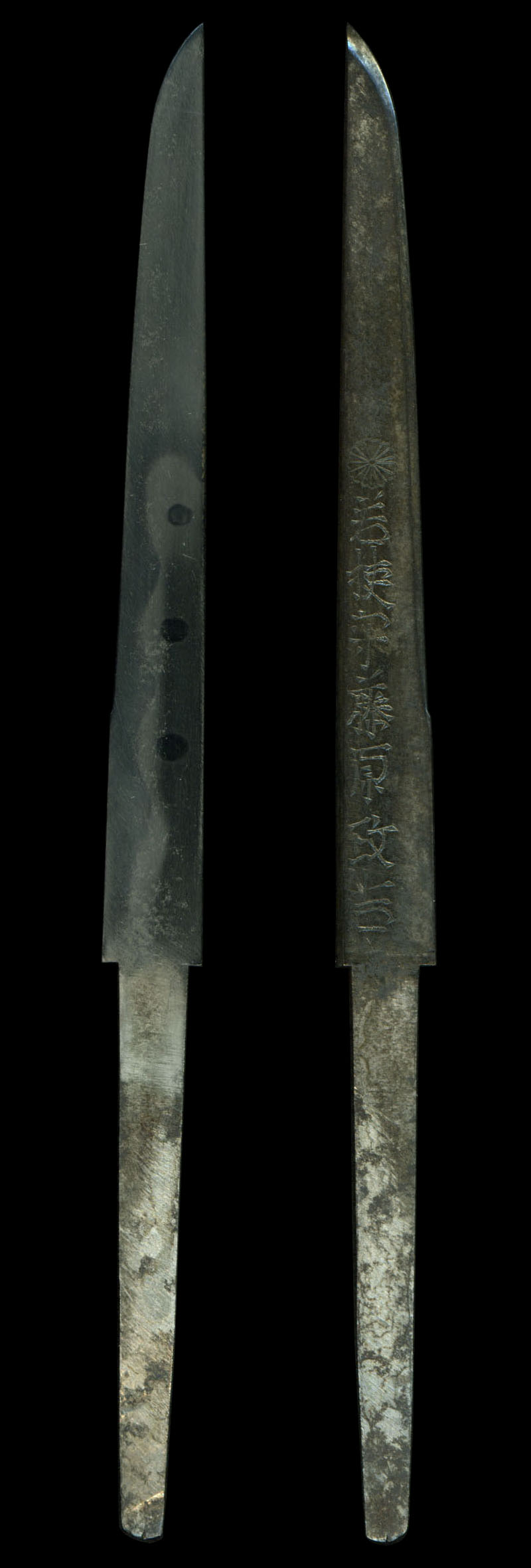 小刀 菊紋 若狭守藤原政吉Picture of whole