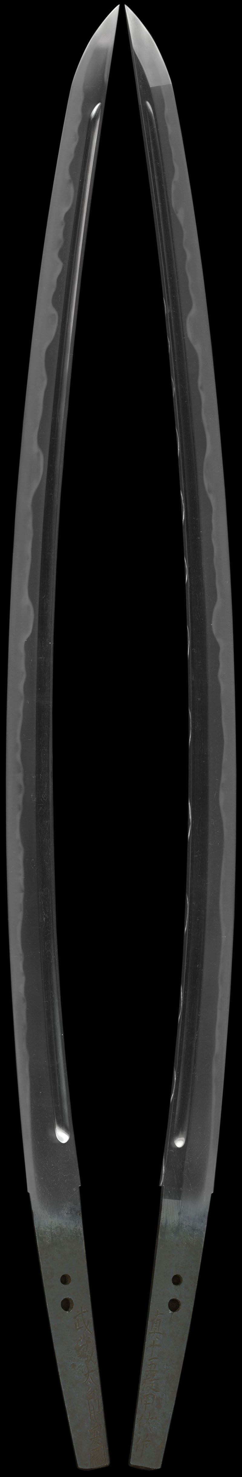 武蔵太郎安国Picture of whole