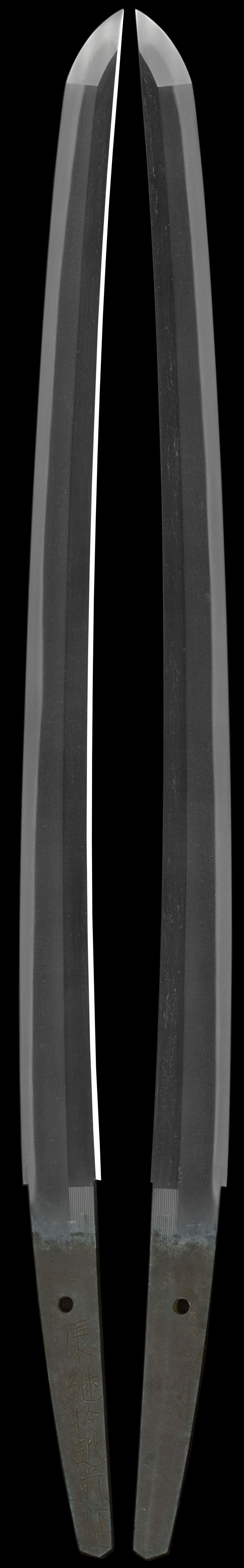 康継於越前作之（越前3代）Picture of whole