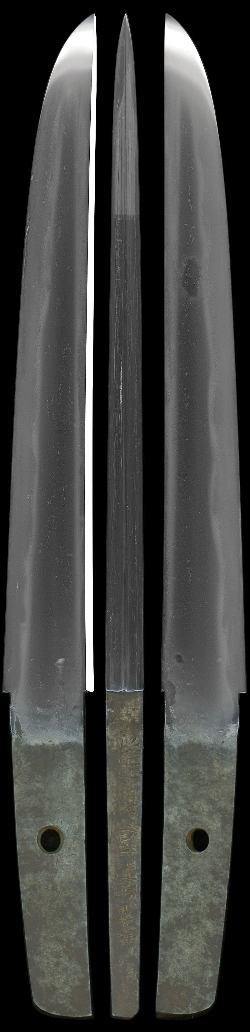 権現堂清孝Picture of whole