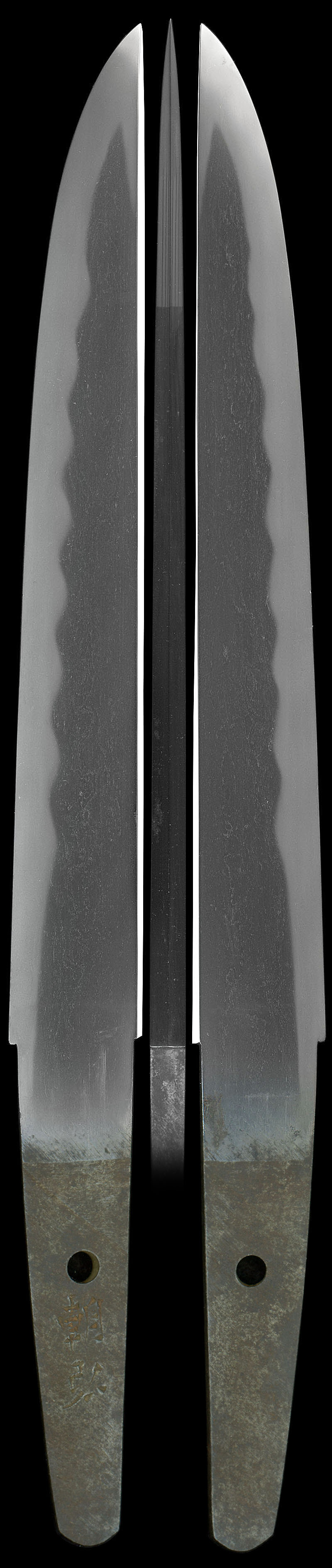 朝弘（南海太郎朝弘）Picture of whole