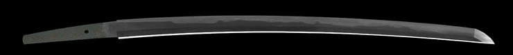 wakizashi [(Kikumon) iga_nokami fujiwara kinmichi] (2 generation) (wazamono)  Picture of blade