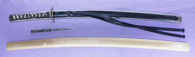 wakizashi  [hoshu takada_ju fujiwara yukinag] (wazamono) Picture of SAYA