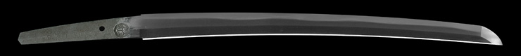 wakizashi [yasutsugu nanban tetsuo motte] (edo 3 generation) (sintou jou-saku)　　　　　[bushu edo_ni oite koreo tsukuro] Picture of blade