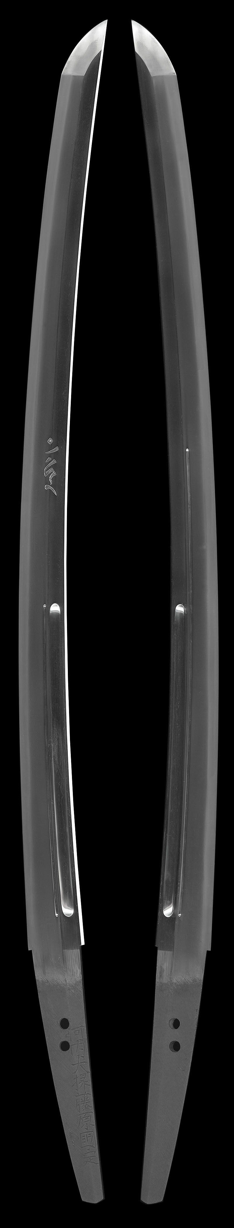 脇差　河内大掾藤原国定(陸奥会津) (業物)Picture of whole