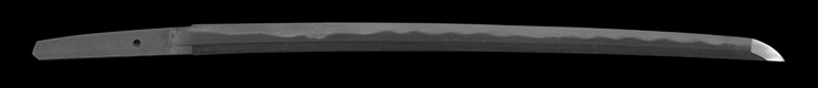 wakizashi [oushu_ju kanesada] (MANJI) (Wazamono) Picture of blade