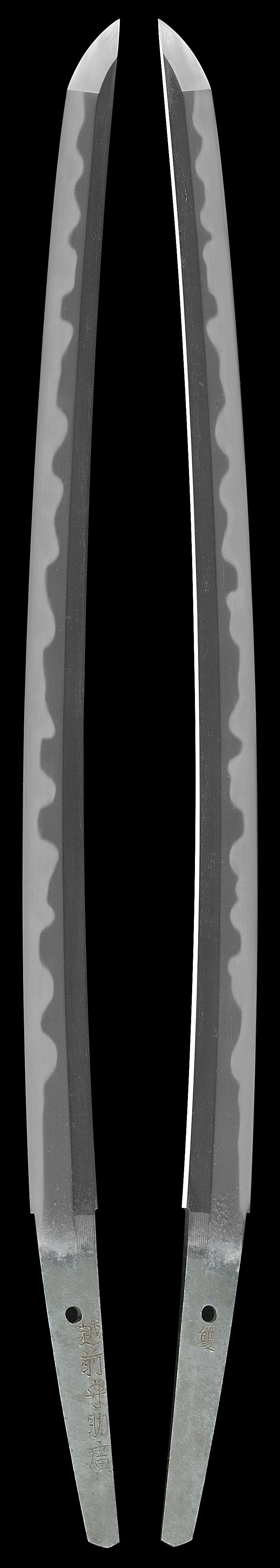 脇差　越前守助広 雙(二代助広) (津田越前守助広) (新刀最上作) (業物)Picture of whole