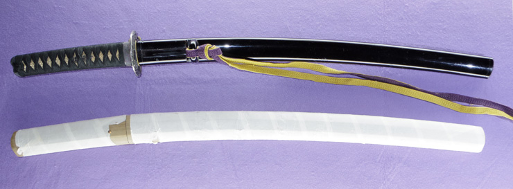 wakizashi [echizen_no_kami sukehiro sou] (sukehiro 2 generation)    (tsuda echizen_no_kami sukehiro) (sintou sai_jou_saku) (wazamono) Picture of SAYA