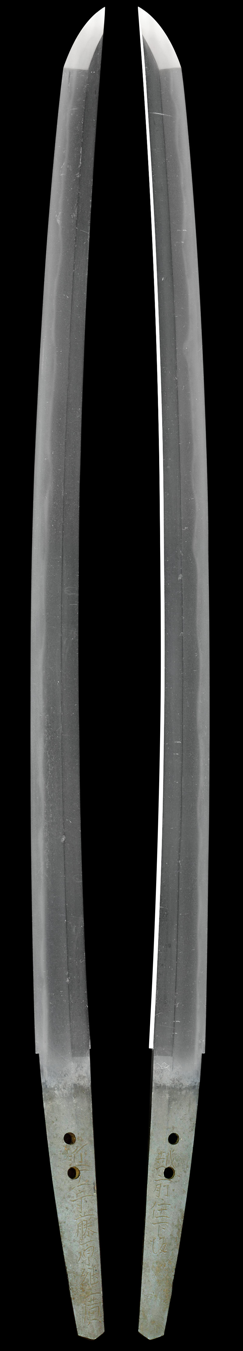 脇差 近江守藤原継広 (業物) 越前住下坂Picture of whole