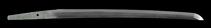 katana [musashi_daijo koregazu] (musashi_daijo koregazu 1 generation) (sintou jou-saku) (ryo wazamono) Picture of blade