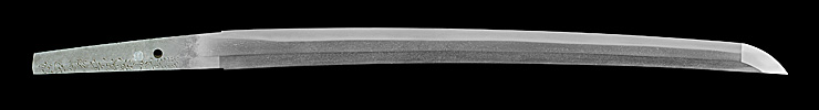 wakizashi [oumi_no_kami houjyouji tachibana masahiro] (1 generation) (sintou jou-saku) (Wazamono) Picture of blade