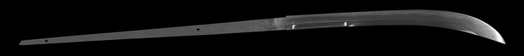 naginata [yamato_no_kami sugawara kunitake] (sintou) (Wazamono) Picture of blade
