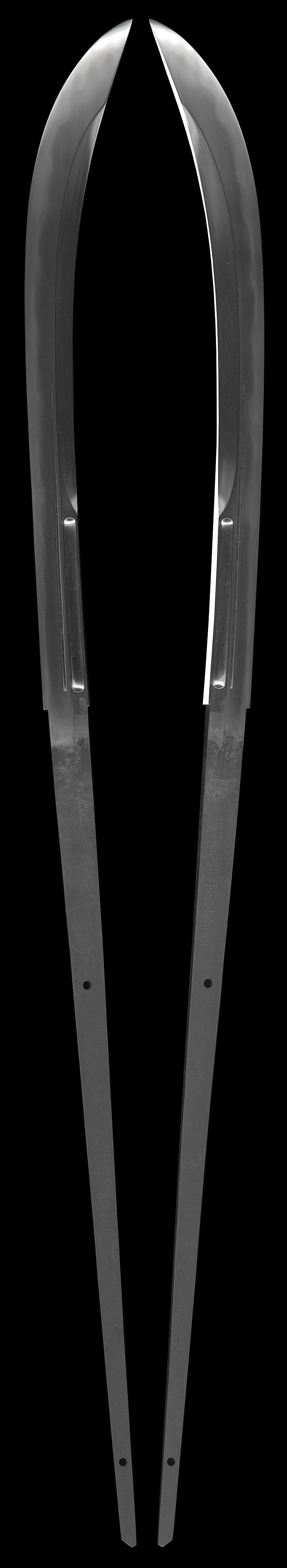 薙刀 大和守菅原国武(新刀) (業物)Picture of whole