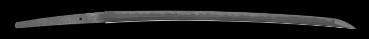 katana [omi-no-kuni-ju horii taneyoshi] Picture of blade