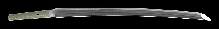 wakizashi [bizenkoku osafune-ju kozuke-daijo fujiwara sukesada saku GENROKU 8] (A copy of yosouzaemon-no-jyo-sukesada) (sintou jou-saku) Picture of blade