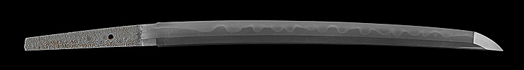 wakizashi [oshu shirakawa-shin tegarayama masashige KYOWA 1] (toran-ba)    (sinsintou joujou-saku) Picture of blade