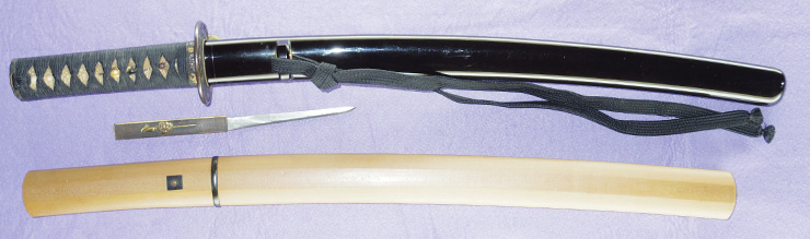 wakizashi [oshu shirakawa-shin tegarayama masashige KYOWA 1] (toran-ba)    (sinsintou joujou-saku) Picture of SAYA