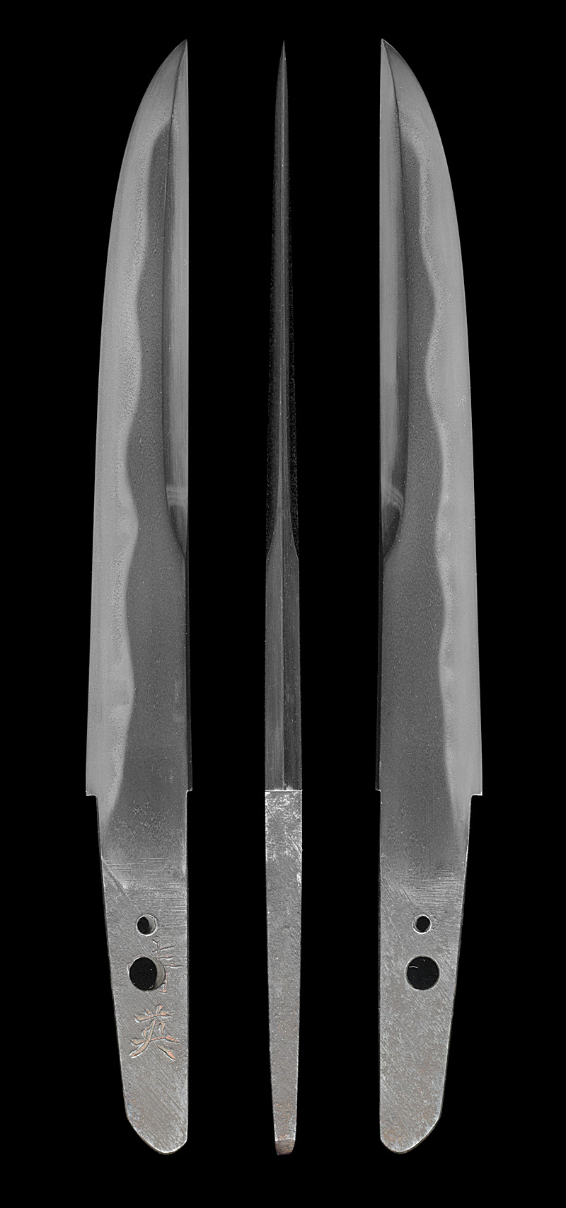 短刀　[晴]英 (登龍子晴英) (新々刀)Picture of whole