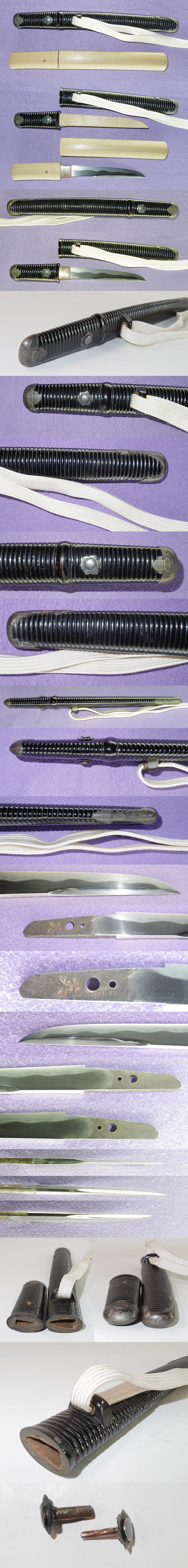 短刀　[晴]英 (登龍子晴英) (新々刀) Picture of parts