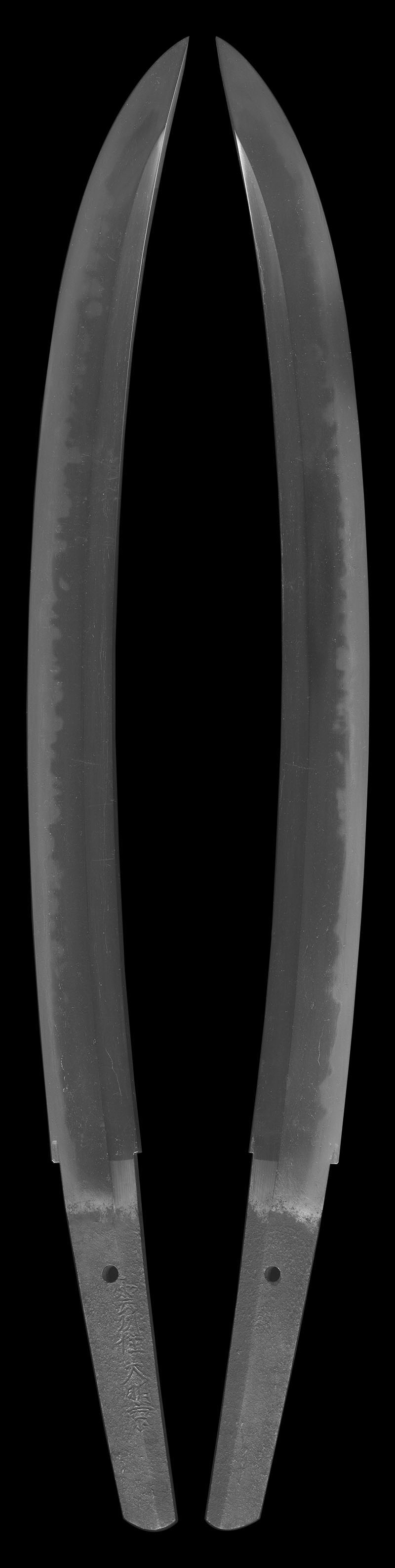 脇差　雲州住大明京Picture of whole